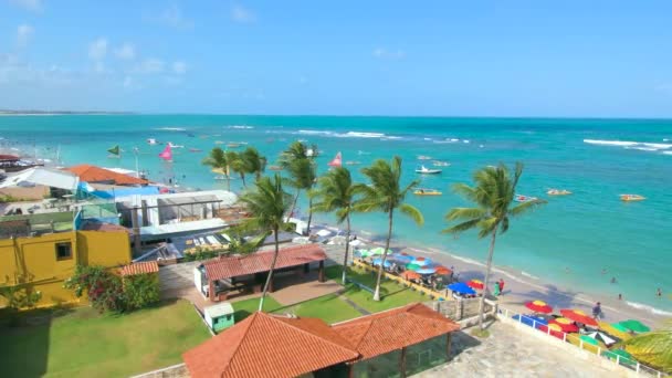 Hermosa Playa Brasileña Con Algunos Cocoteros Mar Azul Vista Aérea — Vídeo de stock