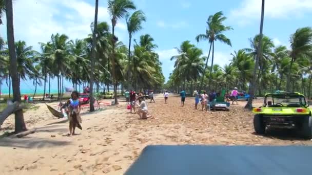 Ipojuca Brasil Octubre 2021 Paseo Buggy Ruta Coconut Trees Playa — Vídeos de Stock