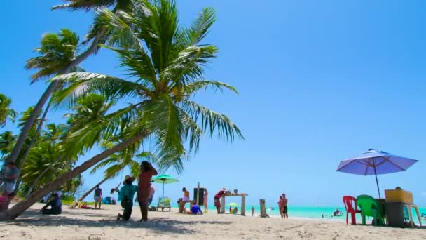 Maragogi Brazília 2021 Október Emberek Fotóznak Antunes Strand Ferde Kókuszfáin — Stock videók