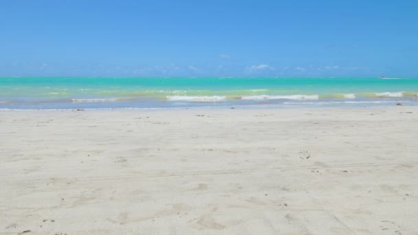 青い海と美しいブラジル北東部のビーチ 光の砂 青い空の日に ブラジル マラゴギのバラ グランデ ビーチ — ストック動画