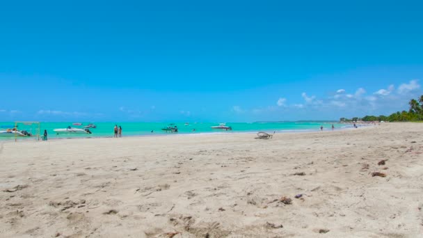 Bela Praia Nordeste Brasileiro Com Mar Azul Areia Clara Dia — Vídeo de Stock