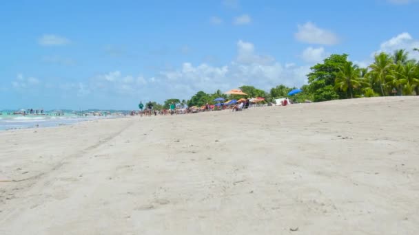 2021年10月17日 巴西阿尔茨海默 Maragogi 人们在称为 巴西驯鹿 Brazilian Caribbean 的马拉戈吉海滩享受这一天 Barra Grande海滩 — 图库视频影像