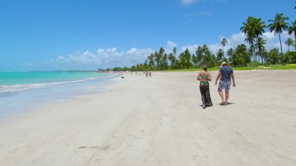Maragogi Brasil Octubre 2021 Caminando Una Playa Maragogi Conocida Como — Vídeos de Stock