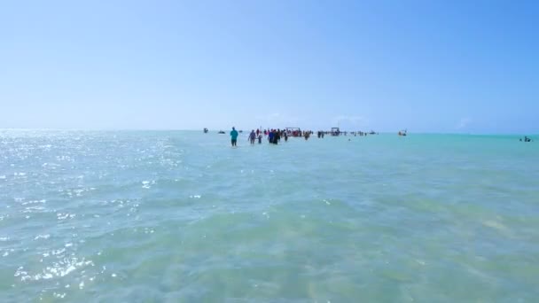 Maragogi Brasilien Oktober 2021 Sandpfad Mitten Meer Der Moses Pfad — Stockvideo