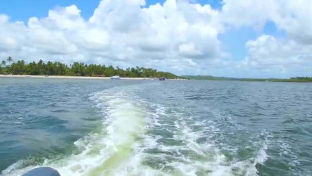 View Back Boat Navigating Slowly Motorboat Ride Formoso River Carneiros — Stock Video