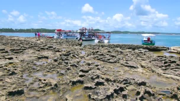 Tamandare Brazil October 2021 Catamarans Bring Tourists Natural Pools Carneiros — Stock Video