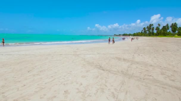 2021年10月17日 巴西阿尔茨海默 Maragogi 在被称为巴西加勒比豆 Brazilian Caribbean 的马拉格基海滩上行走 Barra Grande海滩 巴西东北部的旅游胜地 — 图库视频影像