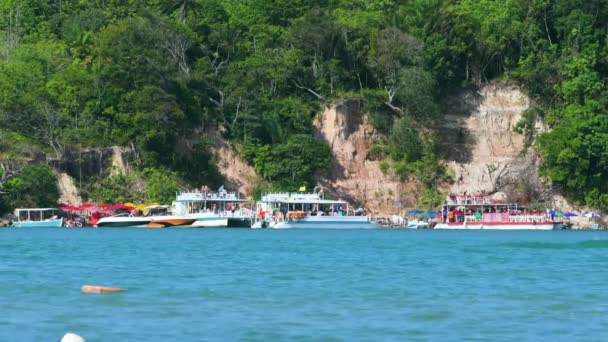 粘土風呂のためのグアドループビーチで観光用モーターボートやカタマラン シリンヘムの観光地 ペルナンブコ州 — ストック動画