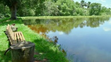 Etrafı sakin su ve yeşil ağaçlarla çevrili bir balıkçı gölünün yanındaki ahşap bankın hızlandırılması. Emeklilik süresince yaşanacak huzurlu bir yer ve doğanın yanında ekolojik bir yaşam tarzı kavramı.. 