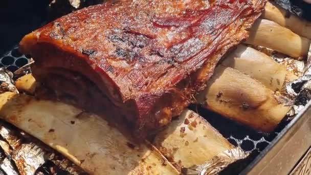 Côtes Bœuf Brésiliennes Rôties Fumées Sur Barbecue Assaisonnées Gros Sel — Video