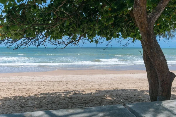 Güneşli Bir Günde Bir Ağacın Gölgesinde Güzel Bir Sahile Bakın — Stok fotoğraf