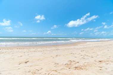 Kuzeydoğu Brezilya 'nın güzel plajları, insan yok, sadece doğa var. Brezilya, Pernambuco eyaletindeki Boa Viagem plajı.