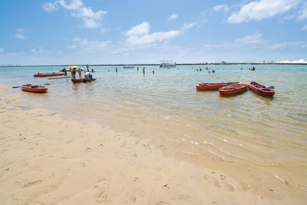 Ipojuca Brezilya Ekim 2021 Muro Alto Plajı Sıcak Sakin Sularla — Stok fotoğraf