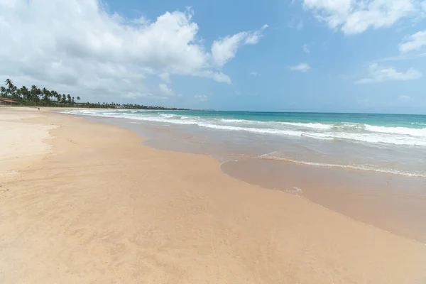 Cupe Plajı Brezilya Kuzeydoğu Plajı Porto Galinhas Plajı Ipojuca Beden — Stok fotoğraf