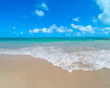 Deniz suyunun kumsala vurduğu güzel manzara güzel mavi bir gökyüzünde, güzel bir deniz sahilinde, cyan tonlarında. Barra Grande Plajı, Maragogi - AL, Brezilya.