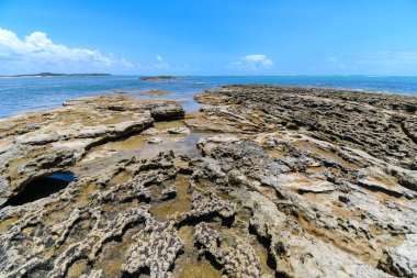 Praia dos Carneiros, Tamandare - PE, Brezilya 'nın doğal havuzlarının kaya oluşumlarıyla resiflerin manzarası. Pernambuco eyaletinin turizm beldesi.