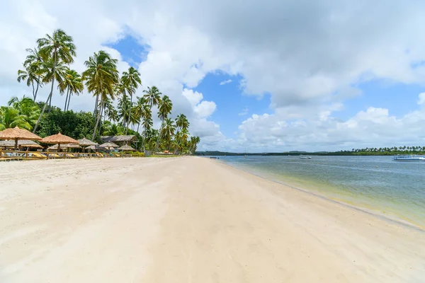 Krajobraz Praia Dos Carneiros Słynnej Plaży Tamandare Brazylia Pasek Piasku — Zdjęcie stockowe