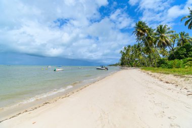 Praia dos Carneiros plajının manzarası, Tamandare 'in ünlü plajı, beden eğitimi, Brezilya. Güzel sahil, Pernambuco eyaletinin turistik beldesi..