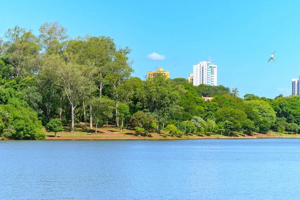 Landscape Igapo Lake Londrina Brazil Beautiful City Lake Trees Shore — Photo