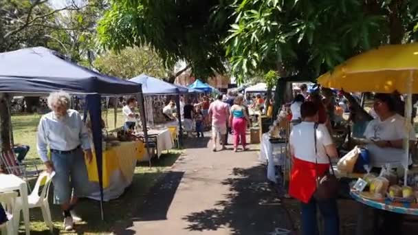 Campo Grande Brazylia Września 2022 Spacer Targach Kulturalnych Placu Bosque — Wideo stockowe