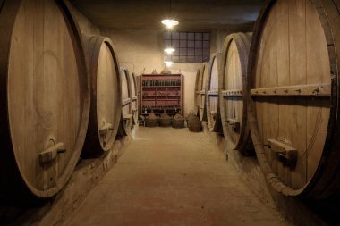 Şarap için ahşap meşe fıçıları olan antik yeraltı şarap mahzeni.