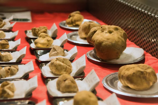 White Truffles (Tuber Magnatum Pico) on a trader stall of the Fiera del Tartufo (Truffle Fair) of Alba, Piedmont (Italy), most important international truffle market in the world