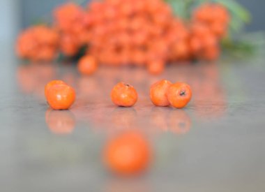 Yeşil Rowan yapraklı kırmızı rowan sürüsü. 