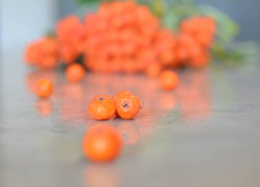 Yeşil Rowan yapraklı kırmızı rowan sürüsü. 