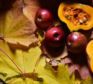 Sonbahar, hayat dolu balkabağı elma yaprakları.