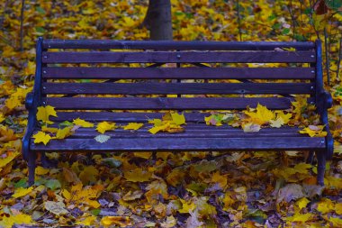Sonbahar parkındaki bank yapraklarla kaplı.