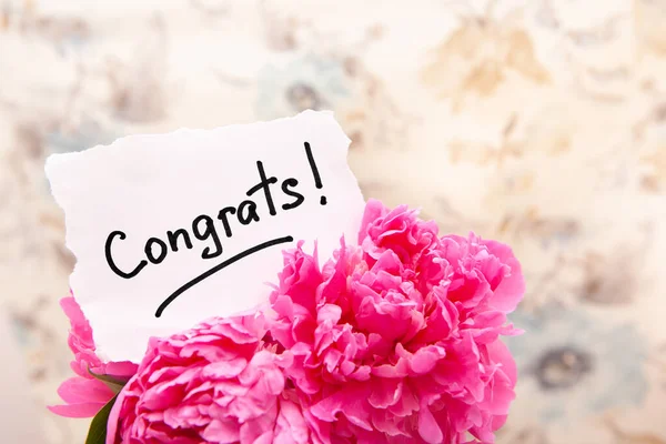 Congrats Card Greetings Text Pink Peony Bouquet — Stock Photo, Image