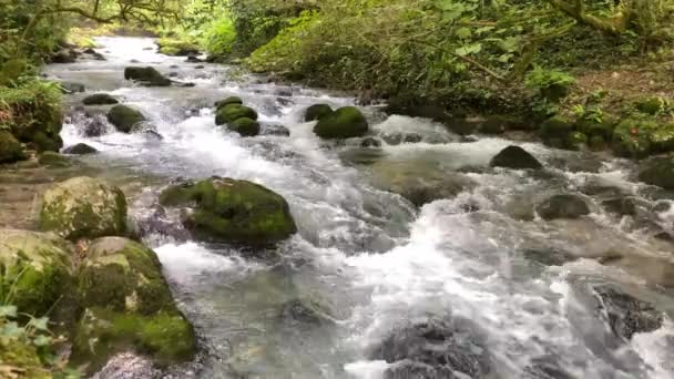 El movimiento del agua en el río de montaña Psyrtskha en New Athos. — Vídeo de stock