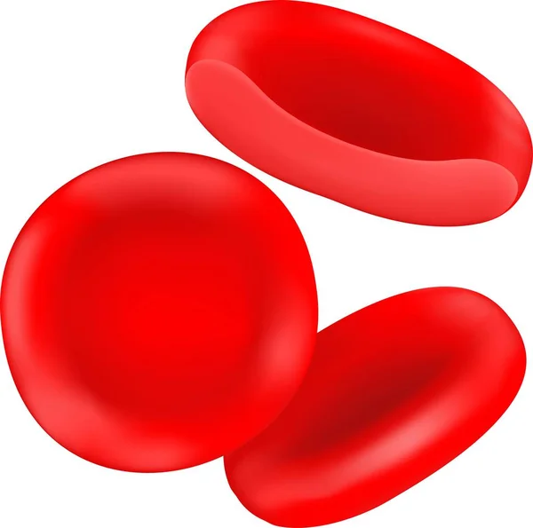 Röda Blodkroppar Finns Människokroppen — Stock vektor