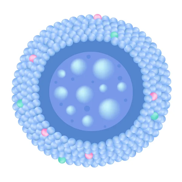 Lisosomas Célula — Archivo Imágenes Vectoriales