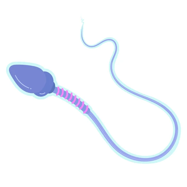 Struktura Funkcja Spermy — Wektor stockowy