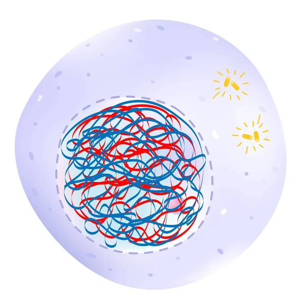 Interphase Phase Cell Cycle — стоковый вектор