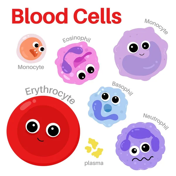 Blood Cell Human Body — Vector de stock