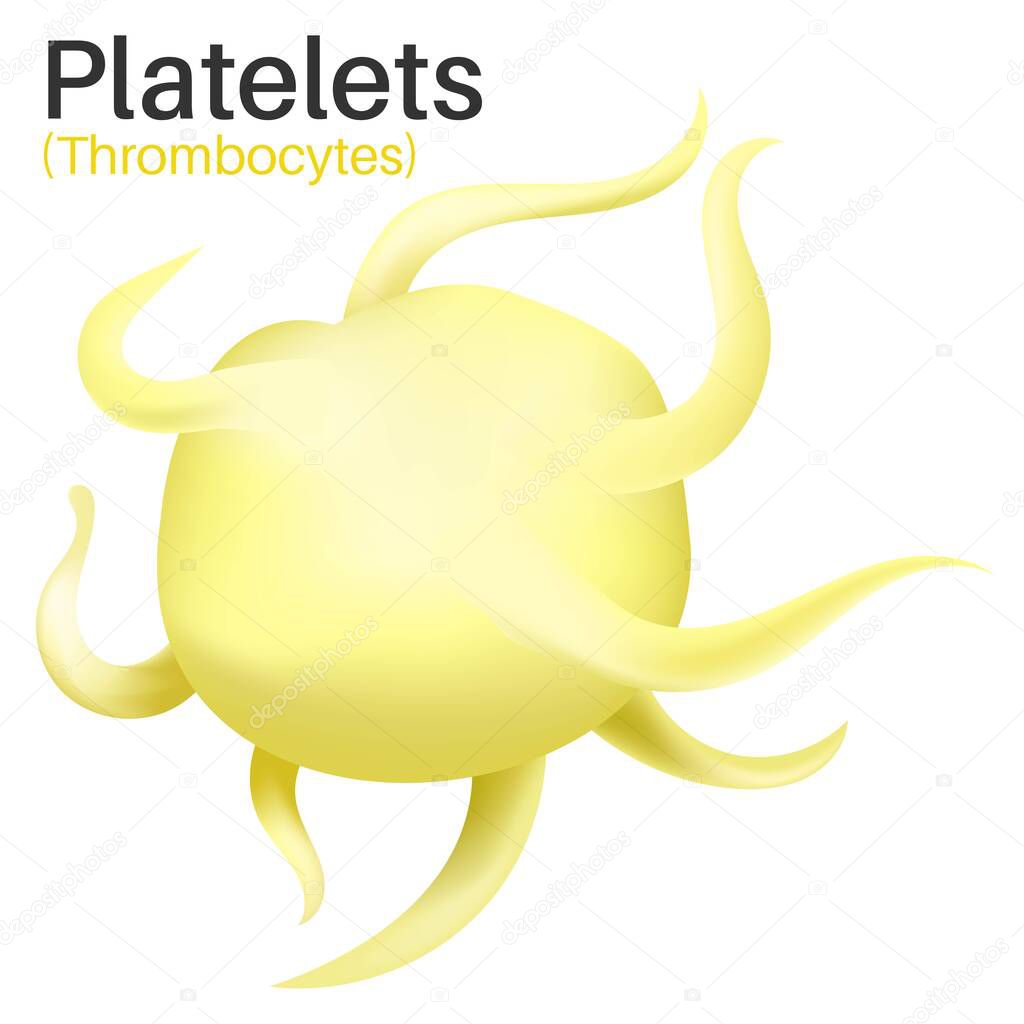 Platelets are tiny blood cells.