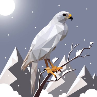 Nirengi stili beyaz şahin, dağların arka planında bir dalda oturur.