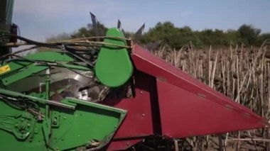 Güneşli bir günde tarlada olgun, kuru ayçiçeklerini birleştirmek. Hasat makinesi.