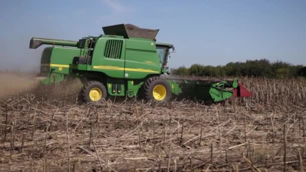 Campo di girasoli essiccati durante la raccolta. Big verde combinare macchina mietitrice di lavoro — Video Stock