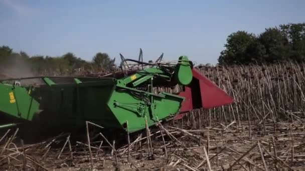 Menggabungkan pemotongan matang, bunga matahari kering di lapangan pada hari yang cerah. Harvester — Stok Video