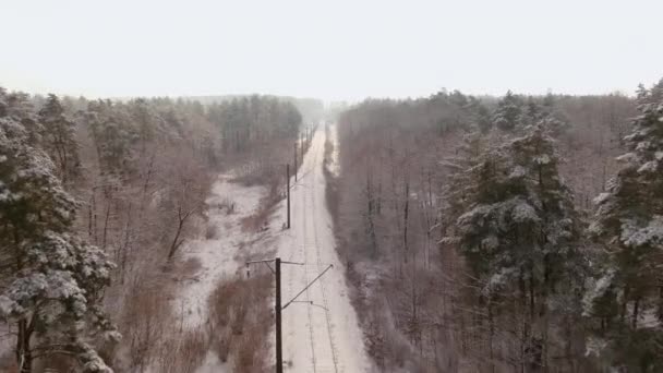 Зимний лес текстуры. Вид с воздуха. Вид на зимний пейзаж с беспилотника — стоковое видео