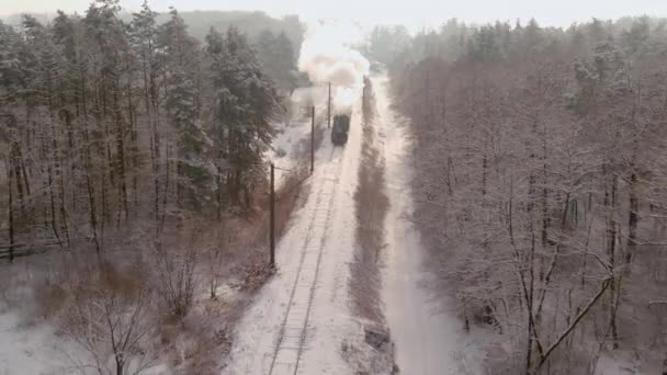 Podél krásného lesa, po venkovské cestě. Létání nad retro turistický vlak přejezd — Stock video