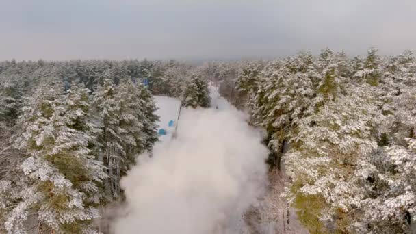Туманные облака дыма, ежедневный лес. Извержение, зеленый сосновый лес — стоковое видео