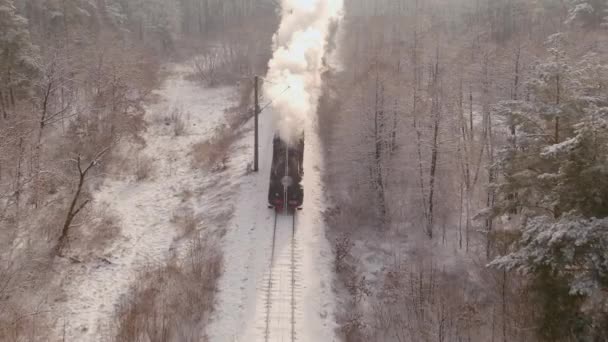 Vista de uma antiga locomotiva a vapor restaurada soprando fumaça, veículo viajando — Vídeo de Stock