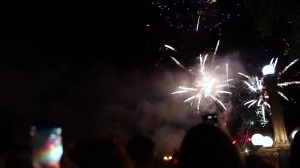 Tömeg látni tűzijáték és ünneplés fotókkal mobiltelefon. Kézfogás — Stock videók