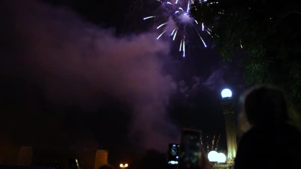 Hacer fotos por teléfono inteligente de hermosa exhibición de fuegos artificiales para la celebración — Vídeo de stock