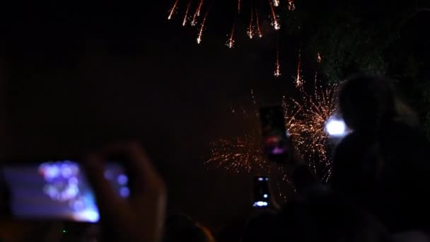 Tömeg látni tűzijáték és ünneplés fotókkal mobiltelefon. Kézfogás — Stock videók