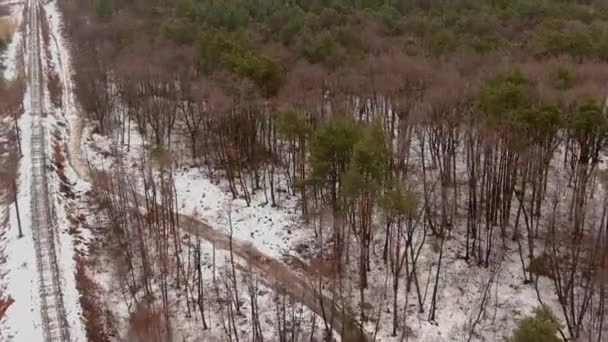 Floresta nevada, vista de cima para baixo. Drone, tempo de inverno, época com densa — Vídeo de Stock